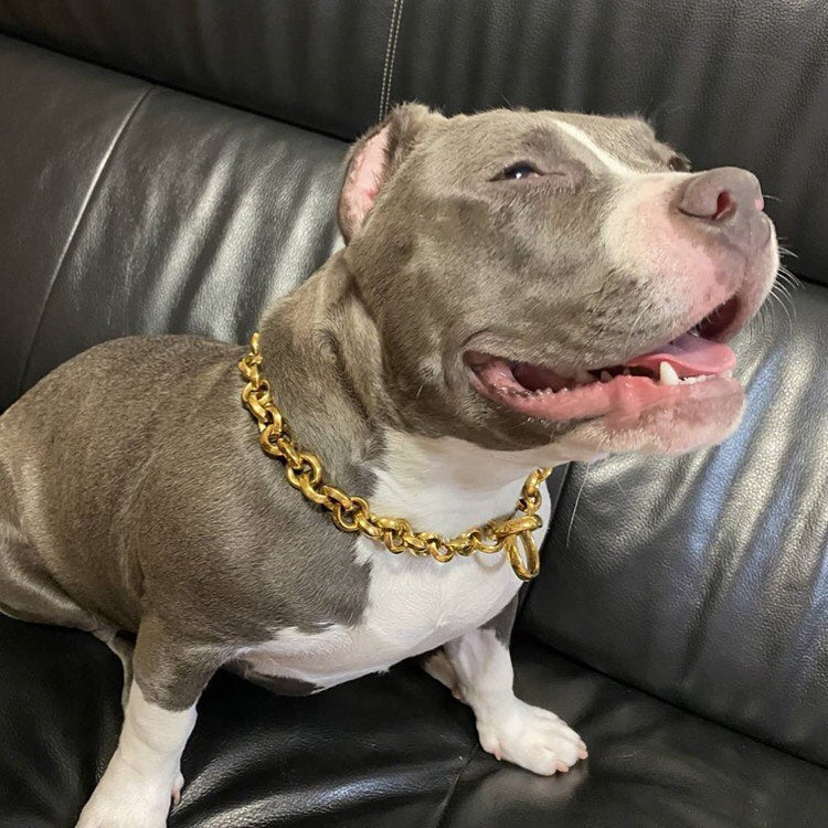 Cool dog chains best sale