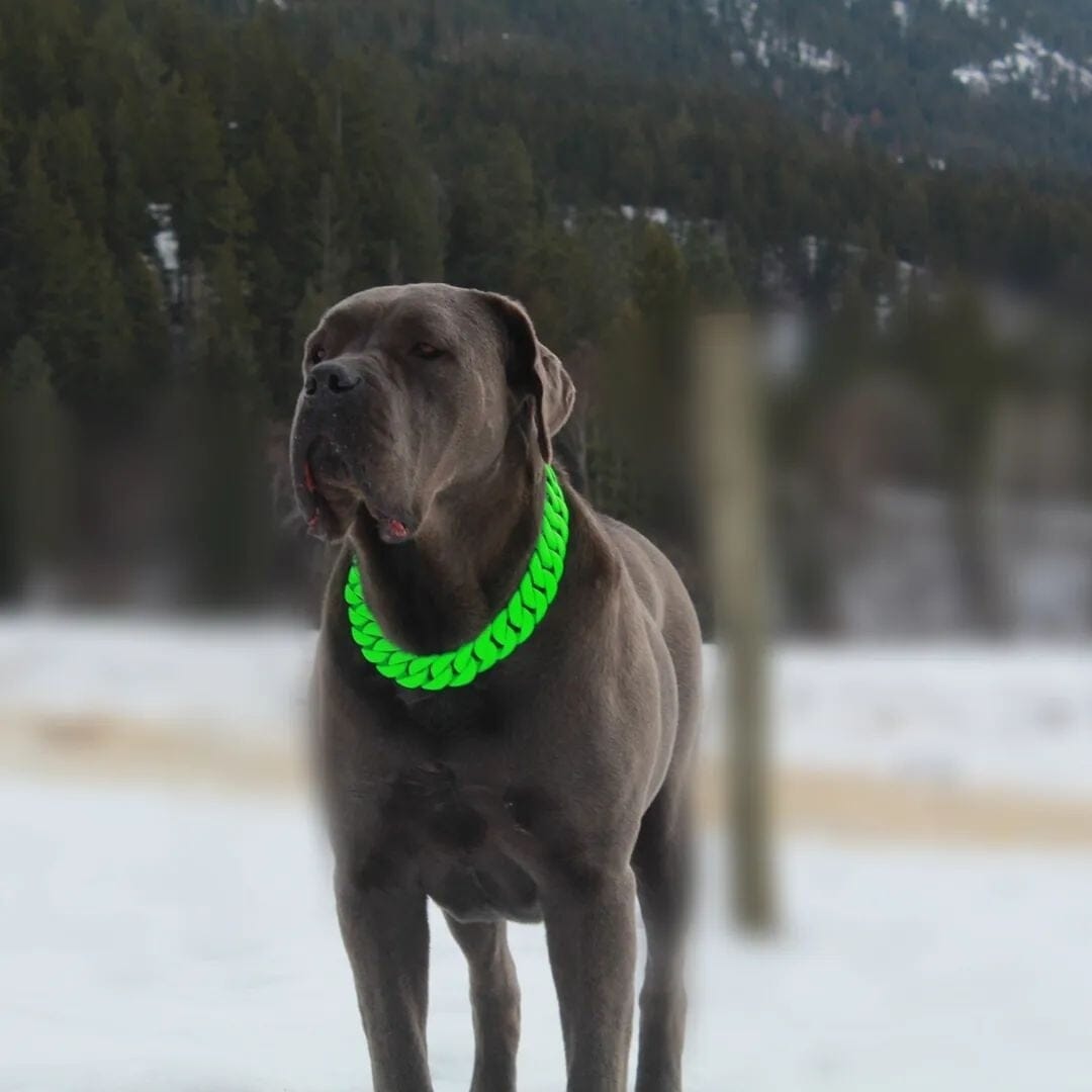 THE HULK Dog Collar for pitbull_large_dog_collars_Cane_Corso_collars_rottweilerdog_collar_Bull_Mastiff_metal_collar For Dogs Who Dominate  - 2/BigDogChains