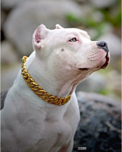 The Kilo Gold Collar: A Testament to Timeless Craftsmanship - 28/BigDogChains