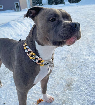 The Tri Dog Collar for pitbull_large_dog_collars_Cane_Corso_collars_rottweilerdog_collar_Bull_Mastiff_metal_collar Designed for the Adventurous Dog  - 4/BigDogChains