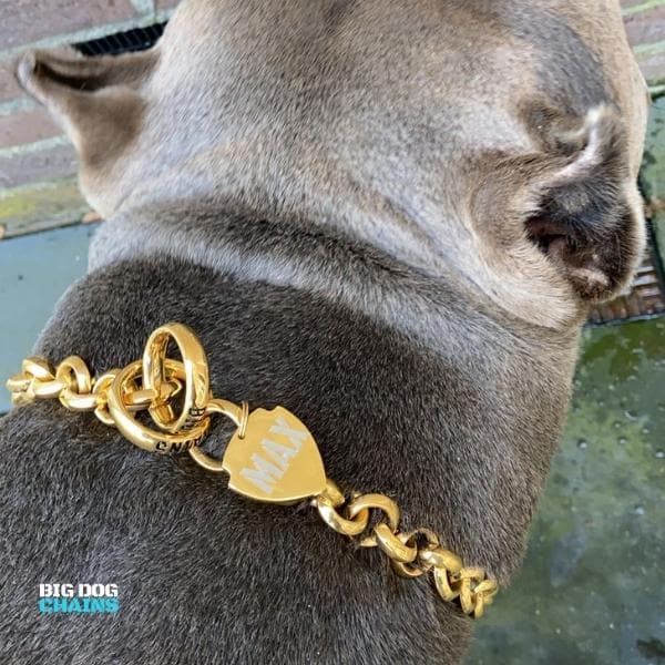 Personalized  Custom Gold Dog Tags - BIG DOG CHAINS – BIG DOG CHAINS ®