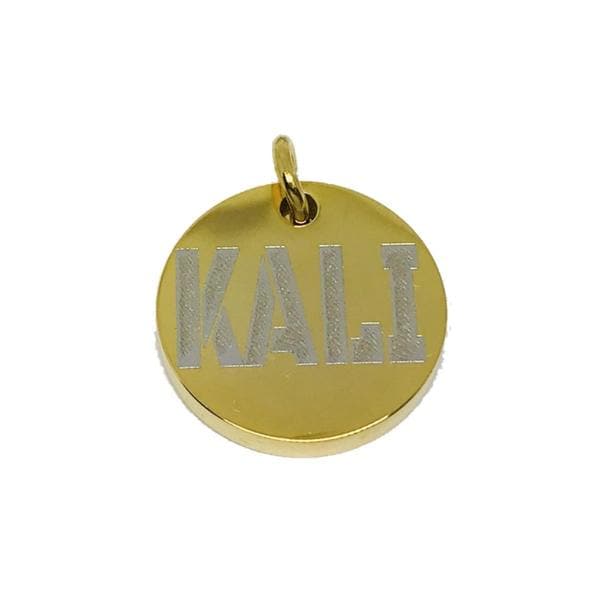Personalized Gold Dog Bone Pet Tag Engraved Dog Tags Custom Pet ID Tags Dog  Bone Personalized Dog Collar Tag Dog Name Tag Engraved Free -  Israel