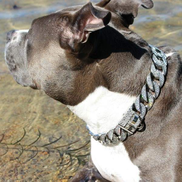 THE ICE XL Stainless Dog Collar for pitbull_large_dog_collars_Cane_Corso_collars_rottweilerdog_collar_Bull_Mastiff_metal_collar Cool Precision, Solid Power  - 7/BigDogChains