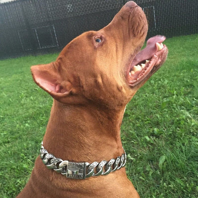 THE MAUI Stainless Dog Collar for pitbull_large_dog_collars_Cane_Corso_collars_rottweilerdog_collar_Bull_Mastiff_metal_collarTimeless & Versatile  - 8/BigDogChains