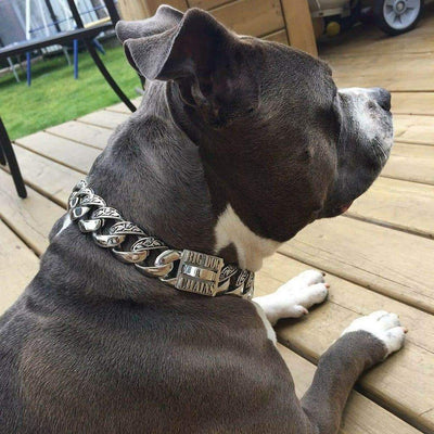 THE MAUI Stainless Dog Collar for pitbull_large_dog_collars_Cane_Corso_collars_rottweilerdog_collar_Bull_Mastiff_metal_collar Weatherproof & Comfortable  - 4/BigDogChains