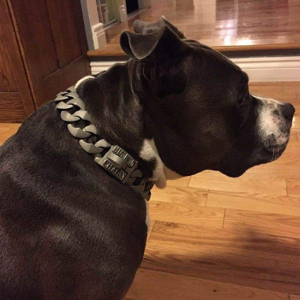 The Commander Dog Collar for pitbull_large_dog_collars_Cane_Corso_collars_rottweilerdog_collar_Bull_Mastiff_metal_collar For the Alpha Dog  - 2/BigDogChains