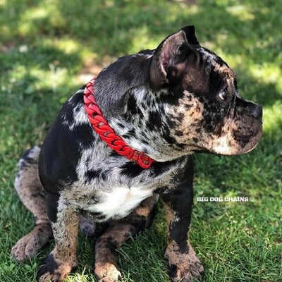 The Enzo Custom_Luxury_Red_Stainless_Steel_High_Quality_and_Super_Strong_Collar for pitbull_large_dog_collars_Small_Dogs_Collar_Cane_Corso_collars_rottweilerdog_collar_american bully_French Powerful Design, Luxurious Finish - 2/BigDogChains