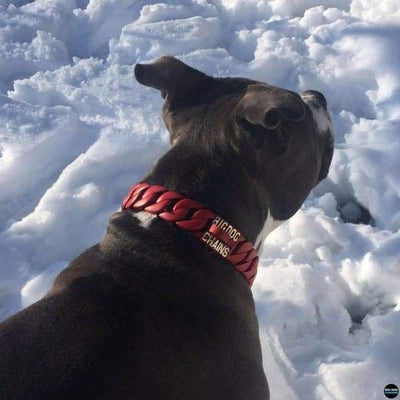 The Enzo Custom_Luxury_Red_Stainless_Steel_High_Quality_and_Super_Strong_Collar for pitbull_large_dog_collars_Small_Dogs_Collar_Cane_Corso_collars_rottweilerdog_collar_american bully_French Super Strong, Bold in Red - 8/BigDogChains