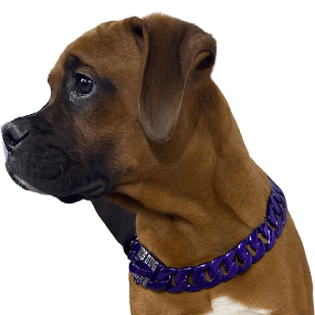 The Guardian Custom_Luxury_High_Quality_and_Super_Strong_Collar for pitbull_large_dog_collars_Small_Dogs_Collar_Cane_Corso_collars_rottweilerdog_collar_american bully_French Ultimate Security for Your Companion - 2/BigDogChains