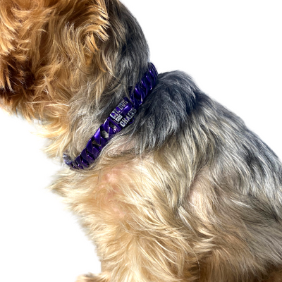 The Haze Custom Luxury High Quality and Super Strong Violet Dog Collar for French Bulldog Shih Tzu Corgi Dachshund Beagle Timeless Design, Lasting Power
 - 2/LilDogChains/BigDogChains