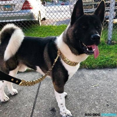 The KILO_Gold_Cuban_Link_Collars_for_Large_XL_Dogs_for_Super_Strong_Dogs_Made_of_Stainless_Steel_with_Custom_Gold_Fully_Functional_Dog_Jewelry - 3/BigDogChains