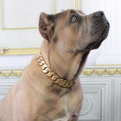 The_KILO_gold_dog_collar_custom_gold_cuban_link_stainless_steel_luxury_designer_dog_collar_large_-_BIG_DOG_CHAINS_-_12_BigDogChains