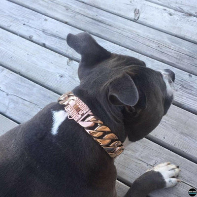 The Kilo Rose Dog Collar for pitbull_large_dog_collars_Cane_Corso_collars_rottweilerdog_collar_Bull_Mastiff_metal_collar Where Style and Comfort Combined  - 8/BigDogChains