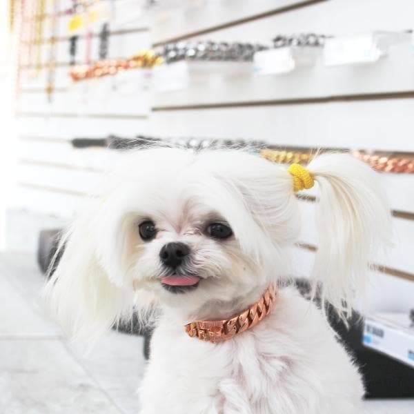 The Madison Rose Custom Luxury High Quality and Super Strong Rose Gold Small Dog Collar for Chihuahua Pomeranian Shih Tzu Yorkshire Terrier Premium Rose Gold Dog Collar
 - 3/LilDogChains/BigDogChains