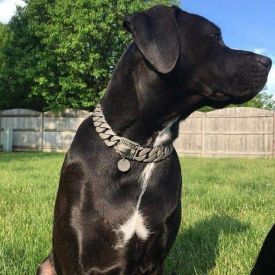 The Nato Solid Custom Luxury High Quality and Super Strong Gray Dog Collar for pitbull_large_dog_collars_Small_Dogs_Collar_Cane_Corso_collars_rottweilerdog_collar_american Classic Gray, Superior Durability  - 4/BigDogChains