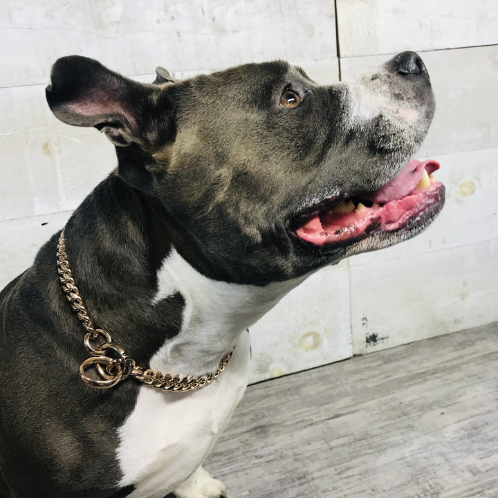 MIAMI Rose Gold Check Chain | Training Collar | Dog Choke | Big Dog Chains